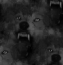 graywolves