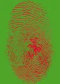 Finger Print