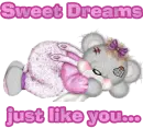 Bear sleeping