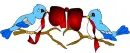 Love animal