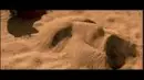the mummy
