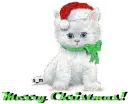 Merry Christmas!
