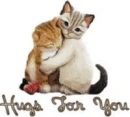 hugs