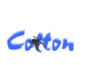 spider colton name