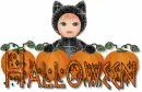 Halloween Cat