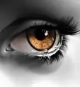 golden eye