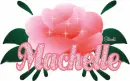 Machelle