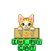 I Love My Cat