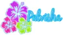 Palvisha