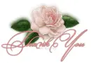 Peach Rose Thank you