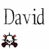 david