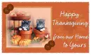 Happy Thanksgiving Kittens