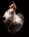 Girl Sinking