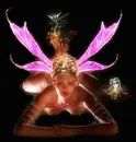 fairy with pink wings