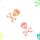 colorful skull