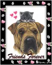friends forever