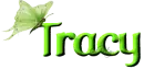 Tracy