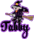 Tabby