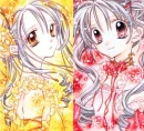 Yellow & Red