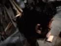 evil dead