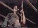 evil dead