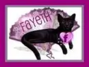 cat with fan