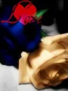 Love Roses