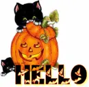 Hello
