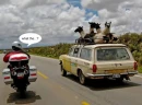 Llamas