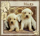 hugs