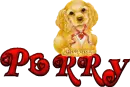 perry (cute pup)
