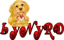 lynyrd cute pup