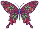 Leaf Butterfly