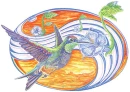 Hummingbird