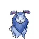 Neopets