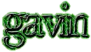 gavin
