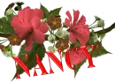 nancy
