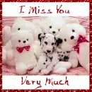 puppy with teddy bears around him