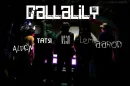 callalily