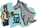 horse
