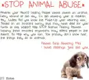 Stop Animal Abuse!