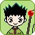 mini GON