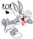 Crazy Bunny