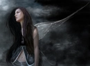  FAIRY