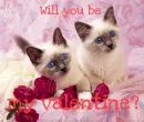 will you be my valentine