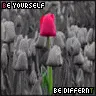 be different