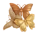 BUTTERFLIES