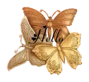 hello butterfly