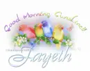 Morning Birds Fayeth