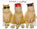 Fayeth